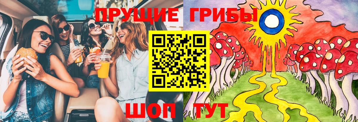Галлюциногенные грибы мухоморы Заводоуковск